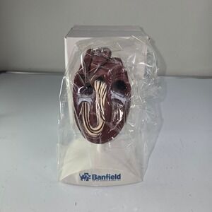 Banfield Heart Model Anatomical Model with Labels Veterinary Dog Cat